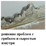 Грибок