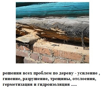 Дерево